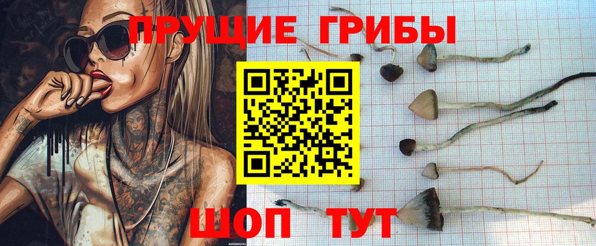 Галлюциногенные грибы ЛСД Миллерово